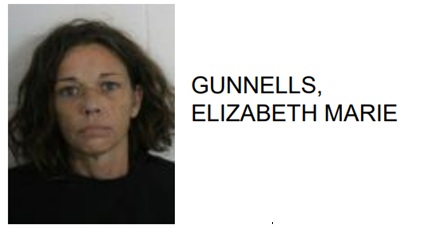 Lyerly Woman Facing Theft Charged After Drug Arrest