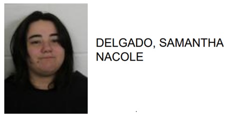 Rome Woman Jailed After Biting Man