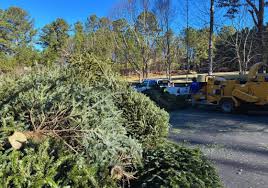 Cedartown Hosts Christmas Tree Recycling Event at Camp Antioch