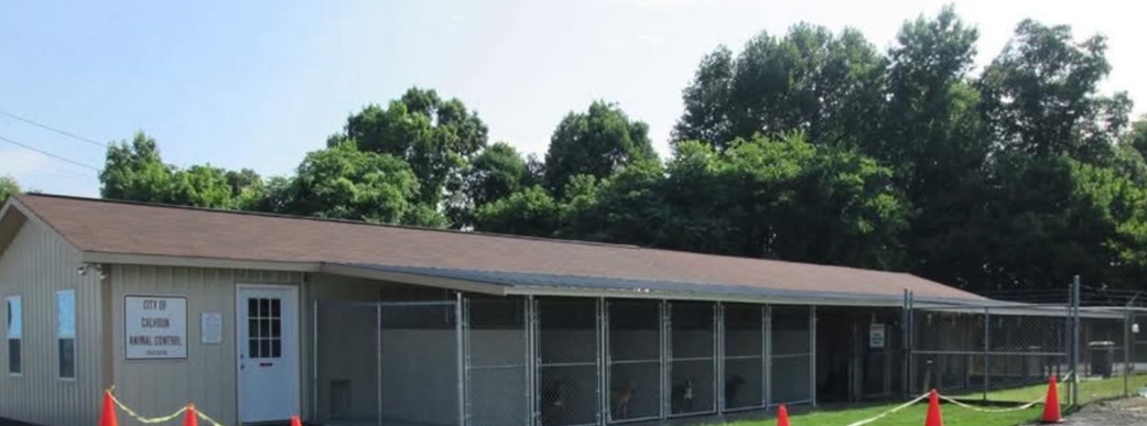 Anonymous Donor Makes Major Improvements at Calhoun Animal Control Center