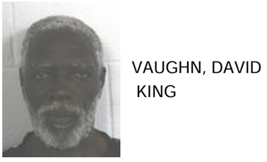 Rome Man Jailed for BB Gun Threat