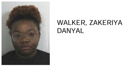Rome Woman Arrested for Allegedly Concealing Vehicle