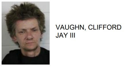 Rome Man Jailed for Meth Possesssion