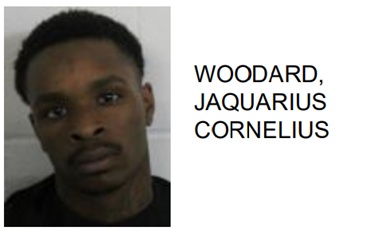 Rome Teen Jailed for Participating in Street Gang Activity