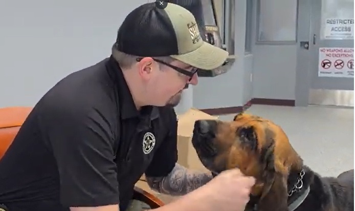 VIDEO: Deputy Corey Bowers Takes Over K9 Doc, Honoring Legacy of Late Handler Mike Williams