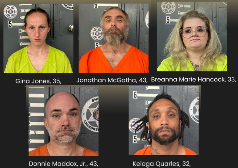 Warrant Service Leads to Drug Investigation in Spring Garden