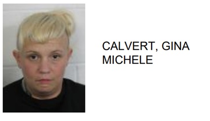 Rome Woman Arrested After Traffic Stop Turns up Numerous Types of Drugs