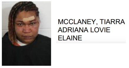 Rome Woman Jailed for Beating Man with Metal Rod