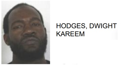 Traffic Stop Leads to Felony Drug Charges for Rome Man