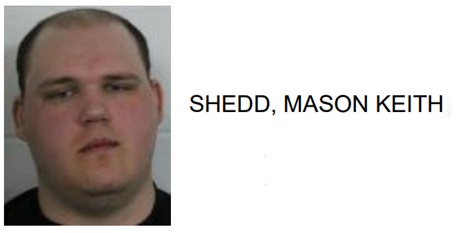 Rome Man Jailed After Hitting Little Sister