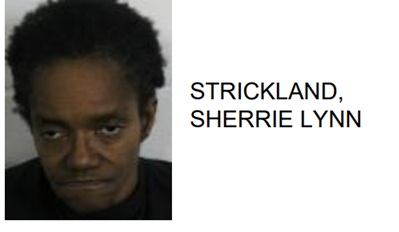 Rome Woman Found with Cocaine During Traffic Stop