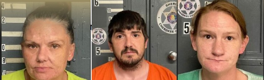 Three Arrested for Chemical Endangerment Following Drug Investigation