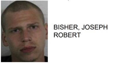 Rome Man Charged After Allegedly Slashing Dog with Machete Inside Motel Room