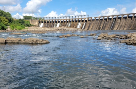 Six Coosa River Swim Guide Sites Show High E. Coli Levels in Testing