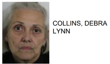Routine Traffic Stop Leads to Unexpected Drug Arrest of Silver Creek Woman