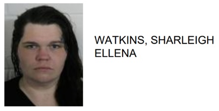 Traffic Stop Leads to Felony Drug Charge for Rome Woman