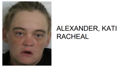 Drunken Rome Woman Jailed for Yelling at Children