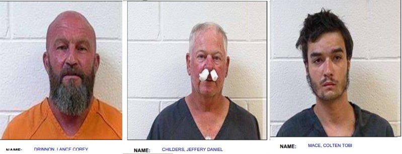 Three Arrested for Disturbign the Peace in Polk County