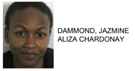 Rome Woman Jailed After Unwanted Biting
