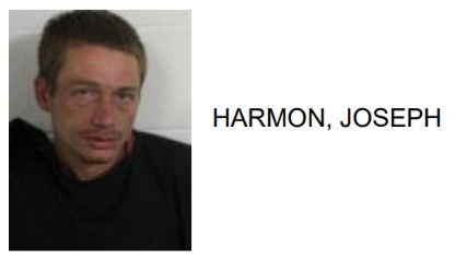 Rome Man Jailed for Destroying City Property on Broad Street