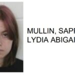 Rome Teen Jailed for Brutal Attack of Adult Female