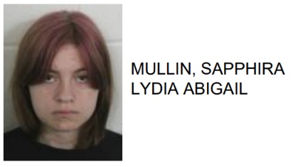 Rome Teen Jailed for Brutal Attack of Adult Female