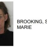 Shannon Woman Jailed for Kicking Arresting Officer