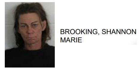 Shannon Woman Jailed for Kicking Arresting Officer